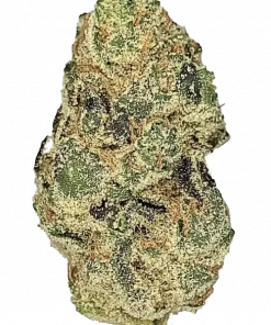 Green Lantern, çam ve narenciye aromalarıyla öne çıkan Sativa baskın bir türdür. Enerji verici etkileriyle gün boyu zinde kalın. Özelliklerini keşfedin.