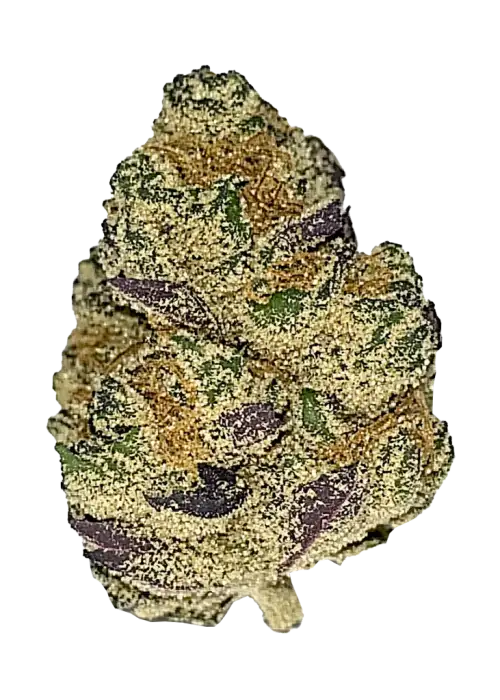 Green Poison, tatlı aroması ve rahatlatıcı etkisiyle bilinen Indica baskın bir türdür. Spazm ve stres için ideal. Genetik yapısını keşfedin ve görüntüleyin.