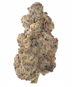 Grimace V2, üzüm aroması ve yüksek THC içeriğiyle öne çıkan indica baskın bir türdür. Sakinleştirici etkileriyle öne çıkan bu türü keşfedin.