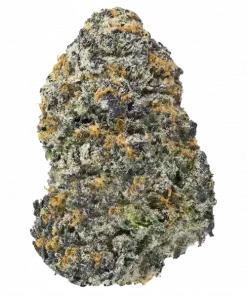 Grungeberry, tatlı meyve aroması ve dengeli etkileriyle bilinen bir hibrit türdür. Stres ve ağrı giderme potansiyelini keşfedin. Hemen görüntüleyin.