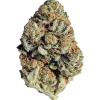Gruntz, tatlı böğürtlen aroması ve 'ye varan THC içeriğiyle öne çıkan Indica dominant bir türdür. Yoğun etkilerini keşfedin ve hemen görüntüleyin.