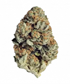 Gruntz, tatlı böğürtlen aroması ve 'ye varan THC içeriğiyle öne çıkan Indica dominant bir türdür. Yoğun etkilerini keşfedin ve hemen görüntüleyin.