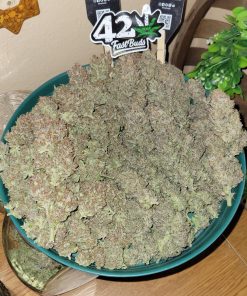 Guava Auto Fem Esrar Tohumu (Fast Buds)