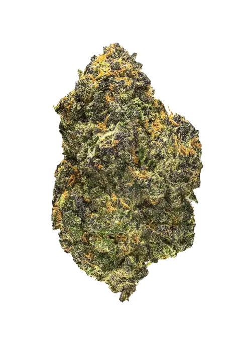 Guava Cream, meyvemsi aroması ve dengeli etkisiyle öne çıkan Indica baskın bir türdür. Depresyon ve stres için ideal. Genetik yapısını keşfedin.