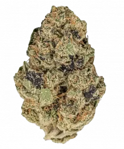 Guava Gelato, ananaslı guava aromasıyla öne çıkan dengeli bir hibrit türüdür. Ağrı ve stresi azaltan bu türün genetik yapısını keşfedin ve etkilerini görüntüleyin.