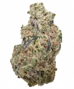 Guava Jelly, guava aroması ve dengeli genetiği ile öne çıkan bir hibrit türdür. Yüksek THC içeriğiyle zihinsel ve fiziksel etkilerini keşfedin. Hemen inceleyin.