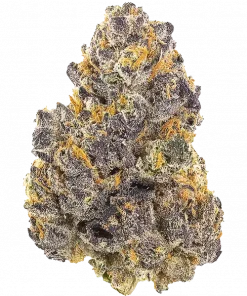 Guava Runtz, yakıtımsı ve tropikal aromaları ile öne çıkan dengeli bir hibrit türdür. THC içeriğiyle dikkat çeker. Bu eşsiz türü keşfedin.