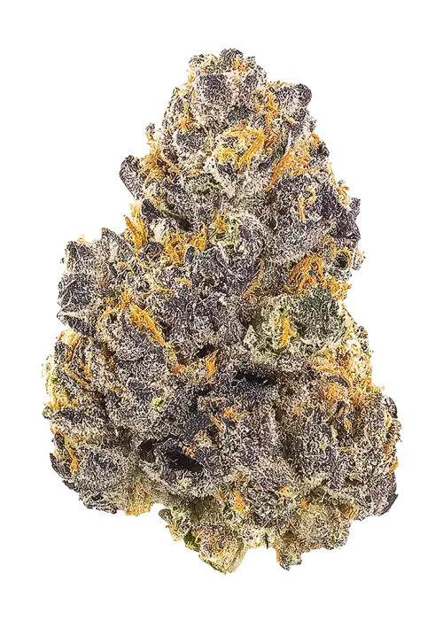 Guava Runtz, yakıtımsı ve tropikal aromaları ile öne çıkan dengeli bir hibrit türdür. THC içeriğiyle dikkat çeker. Bu eşsiz türü keşfedin.