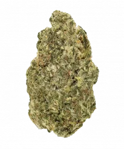 Guava Starburst, guava ve tropikal meyve aromalarıyla öne çıkan dengeli bir hibrit türdür. Yüksek reçine üretimiyle bilinir. Etkilerini keşfedin.