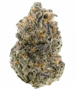 Gucci, tatlı çilek ve yakıtımsı aromalarıyla öne çıkan Indica baskın bir türdür. Derin rahatlama ve uyku hali sunar. Genetik yapısını keşfedin.