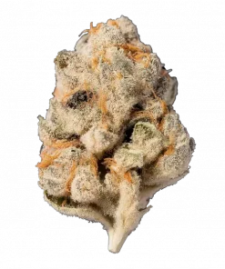 Gumi, kremsi ve meyvemsi aromalarıyla öne çıkan Indica baskın bir türdür. Yüksek THC içeriğiyle güçlü etkilere sahiptir. Genetik yapısını keşfedin.