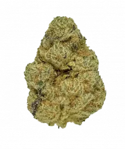 Gummies, kimyasal limon aroması ve çilek notalarıyla öne çıkan Sativa baskın bir türdür. Yüksek THC içeriğiyle dikkat çeken bu türün genetik yapısını keşfedin.