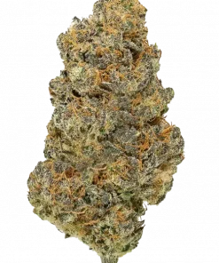 Gun Smoke, yakıtımsı ve tatlı aromalarıyla öne çıkan indica dominant türdür. Yüksek THC içeriğiyle dengeli bir deneyim sunar. Özelliklerini keşfedin.