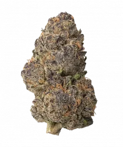 Gush Mints 1:1, kremsi nane aroması ve dengeli CBD/THC içeriğiyle öne çıkan Indica ağırlıklı hibrit türdür. Ağrı giderme potansiyelini keşfedin ve detayları görüntüleyin.