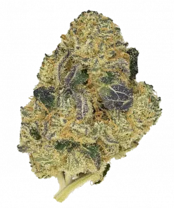 Gushers Automatic, tatlı ve tropikal aromaları ile öne çıkan Indica baskın bir türdür. THC içeriğiyle rahatlatıcı etkilerini keşfedin ve detaylıca görüntüleyin.