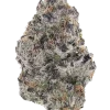 Guz, yakıtımsı aroması ve yüksek THC içeriğiyle öne çıkan bir türdür. Limon ve şerbet notalarıyla benzersiz genetik yapısını keşfedin ve etkilerini görüntüleyin.