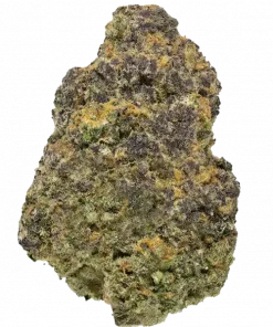 Guzzlerz, yakıtımsı aroması ve yüksek THC içeriğiyle öne çıkan dengeli bir hibrit türdür. Derin rahatlama ve öfori için genetik yapısını keşfedin.