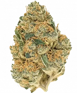 Gym Crush, sert aroması ve THC oranıyla öne çıkan Indica baskın bir türdür. Derin rahatlama ve uyku getirici etkilerini keşfedin.