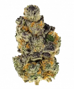 Haight Afberry, tatlı meyve aromaları ve dengeli genetiğiyle öne çıkan bir hibrit türdür. Yaratıcılığı tetikleyen bu türün özelliklerini keşfedin ve hemen görüntüleyin.