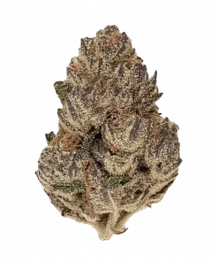 Halle Berry, tatlı böğürtlen aroması ve yüksek THC içeriğiyle bilinen Sativa dominant bir türdür. Artrit ve kronik ağrı tedavisinde potansiyelini keşfedin.