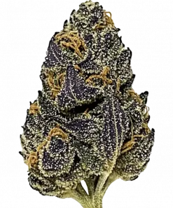 Happy Hour, tatlı aroması ve yüksek THC içeriğiyle öne çıkan dengeli bir hibrit türdür. Canlandırıcı etkilerini ve genetik yapısını hemen keşfedin.