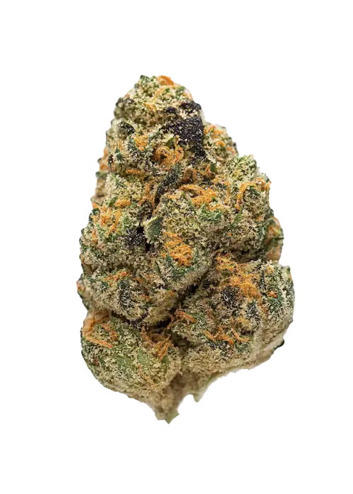 Hardcore OG, bal aroması ve yüksek THC içeriğiyle bilinen Indica dominant bir türdür. Ağrı ve uykusuzluğa iyi gelir. Etkilerini keşfedin.