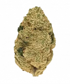 Hawaiian Runtz, tropikal meyve aromaları ve yüksek CBD içeriğiyle öne çıkan Sativa baskın bir türdür. Ağrı ve depresyon için ideal. Özelliklerini keşfedin.