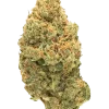 Haze Queen, limon aromalı ve yüksek THC'li bir sativa türüdür. Enerji veren yapısıyla öne çıkar. Genetik özelliklerini ve eşsiz aromasını keşfedin.