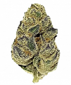 Headband Cookies, keskin nane aroması ve THC oranıyla öne çıkan Indica dominant bir türdür. Uykusuzluk için ideal genetik yapısını keşfedin ve görüntüleyin.
