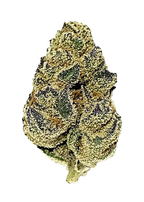 Headband Cookies, keskin nane aroması ve THC oranıyla öne çıkan Indica dominant bir türdür. Uykusuzluk için ideal genetik yapısını keşfedin ve görüntüleyin.