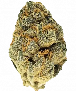 Headcracker, yüksek THC'si ve tatlı aromasıyla bilinen Indica dominant türdür. Stres ve iştahsızlıkla mücadelede etkilidir. Özelliklerini keşfedin.