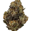Heady OG Bx1, sert yakıtımsı aroması ve THC içeriğiyle bilinen güçlü bir hibrit türüdür. Indica rahatlamasını keşfedin ve genetik yapısını görüntüleyin.