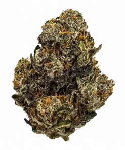 Heady OG Bx1, sert yakıtımsı aroması ve THC içeriğiyle bilinen güçlü bir hibrit türüdür. Indica rahatlamasını keşfedin ve genetik yapısını görüntüleyin.