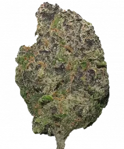 Heat Wave, tatlı tropikal aroması ve -25 THC oranıyla öne çıkan indica baskınlıklı bir türdür. Stres ve uykusuzluğa iyi gelir. Özelliklerini keşfedin.