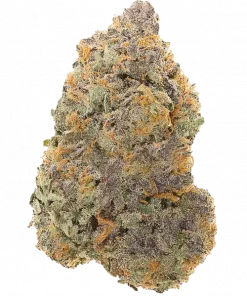 Hella Jealous, tatlı meyve ve yakıtımsı aromalarıyla öne çıkan indica baskın bir türdür. Dengeli etkileriyle rahatlama sağlar. Genetik yapısını keşfedin.