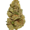 Hell's Angels OG, tatlı orman meyveleri aroması ve THC oranıyla öne çıkan Indica dominant bir türdür. Derin rahatlama ve mutluluk için genetik yapısını keşfedin.