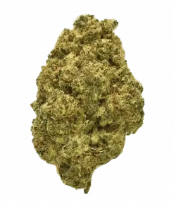 Herz OG, bal ve çam aromalı, yüksek THC'li Indica baskın bir türdür. Rahatlatıcı ve yaratıcı etkileriyle öne çıkar. Özelliklerini keşfedin.