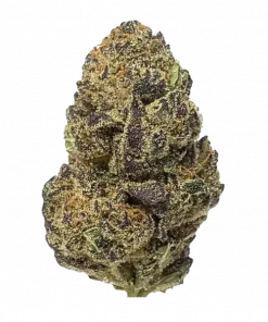 Hi-Octane, sert yakıtımsı aroması ve yüksek THC içeriğiyle bilinen dengeli bir hibrit türdür. Octane ve Sunset Sherbert genetiğini keşfedin ve etkilerini görüntüleyin.