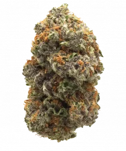 Hidden Pastry, tatlı krema ve nane aromalarıyla öne çıkan dengeli bir hibrit türdür. Stres ve yorgunluğa iyi gelir. Genetik yapısını keşfedin.