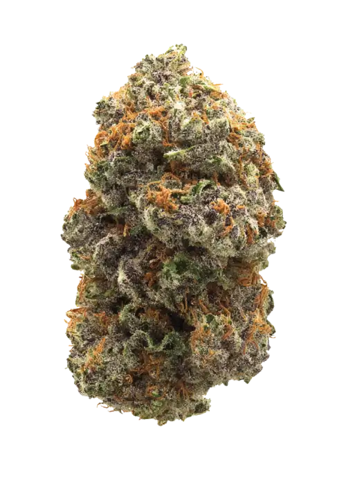 Hidden Pastry, tatlı krema ve nane aromalarıyla öne çıkan dengeli bir hibrit türdür. Stres ve yorgunluğa iyi gelir. Genetik yapısını keşfedin.