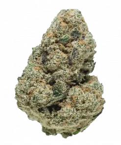 Hugh Fructose Corn Syrup (HFCS), yakıtımsı aroması ve yüksek THC içeriğiyle öne çıkan Indica dominant bir türdür. Derin rahatlama için genetik özelliklerini keşfedin.