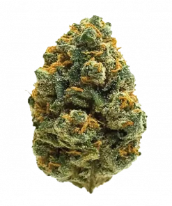 High Society, yakıtımsı ve tatlı aromaları ile öne çıkan dengeli bir hibrit türdür. 'e varan THC içeriğiyle ruh halinizi yükseltir. Özelliklerini keşfedin.