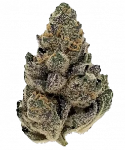 Higher Education, tatlı orman meyveleri aroması ve rahatlatıcı etkisiyle bilinen indica dominant bir türdür. Uykusuzluğa iyi gelir. Genetik yapısını keşfedin.