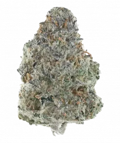 Hindsight, toprak ve kush aromalı, yüksek THC'li indica baskın türdür. Derin rahatlama ve uyku için ideal. Bu eşsiz türü keşfedin.