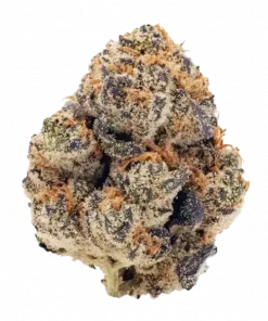 Hindu Kush, toprak notaları ve güçlü rahatlatıcı etkisiyle bilinen 0 Indica türüdür. Ağrı ve uykusuzluğa iyi gelir. Bu eşsiz türü keşfedin.