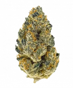 Hippie Crasher, tatlı meyve aromaları ve yüksek THC içeriğiyle bilinen Indica dominant bir türdür. Derin rahatlama ve mutluluk için hemen keşfedin.