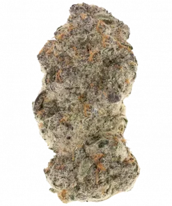 Hippy Crasher, reçineli tomurcukları, tatlı böğürtlen aroması ve dengeli etkileriyle öne çıkan bir hibrit türdür. Bu eşsiz türün genetik yapısını keşfedin.