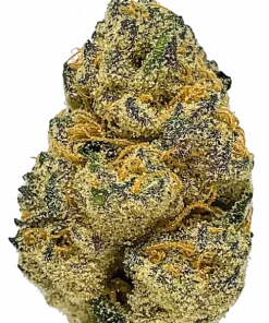 Holy Grail Kush, kahve aroması ve yüksek THC içeriğiyle öne çıkan Indica baskın bir türdür. Ağrı ve stres giderme potansiyelini keşfedin. Hemen görüntüleyin.