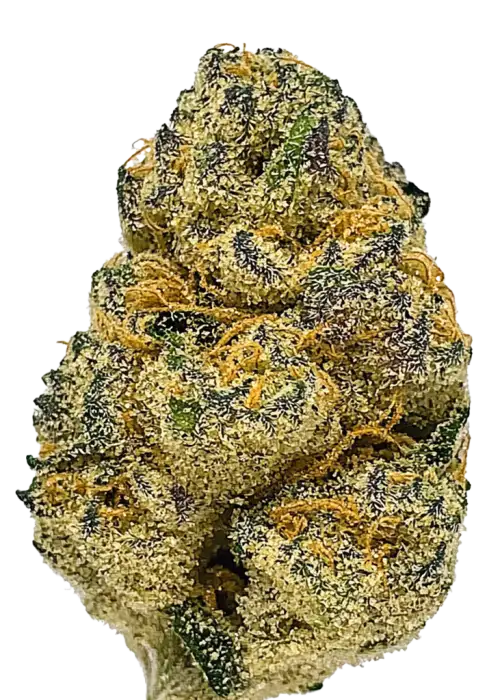 Holy Grail Kush, kahve aroması ve yüksek THC içeriğiyle öne çıkan Indica baskın bir türdür. Ağrı ve stres giderme potansiyelini keşfedin. Hemen görüntüleyin.