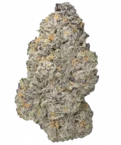 Holy Punch, üzüm aromalı, yüksek verimli bir Sativa hibritidir. Anksiyete ve stres için ideal. Bu eşsiz türün genetik yapısını keşfedin ve hemen görüntüleyin.